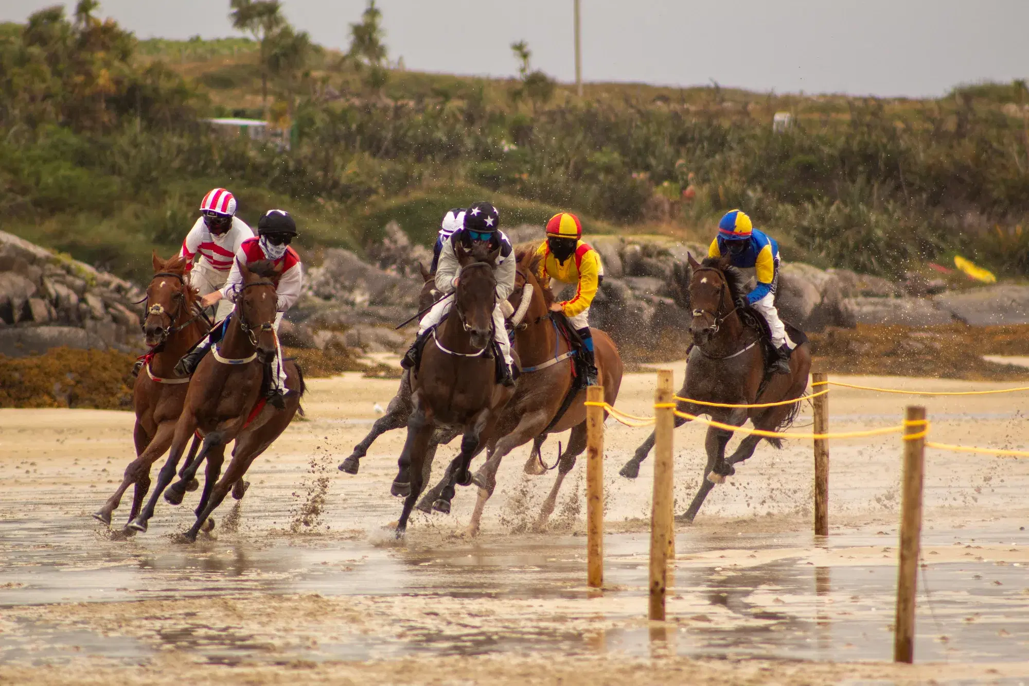 Five horses gallop head-on through the turn at the Omey Races, jockeys in bright silks, sand and water spraying from their hooves.