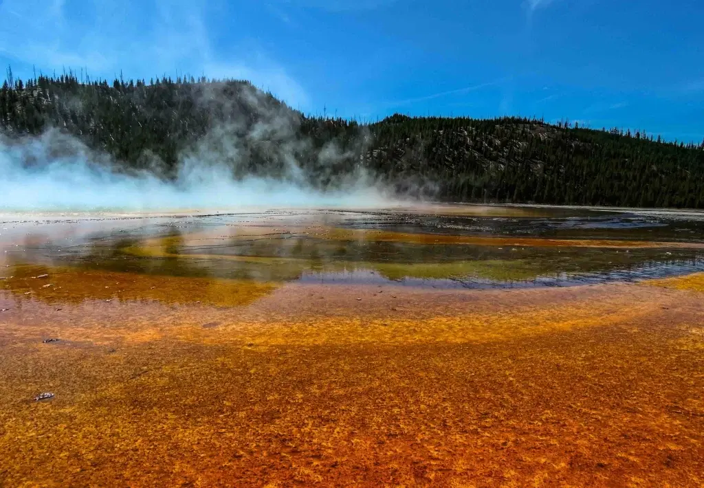 Ground-level view of the Grand Prismatic Spring in Yellowstone National Park, showcasing vibrant colors and geothermal steam.