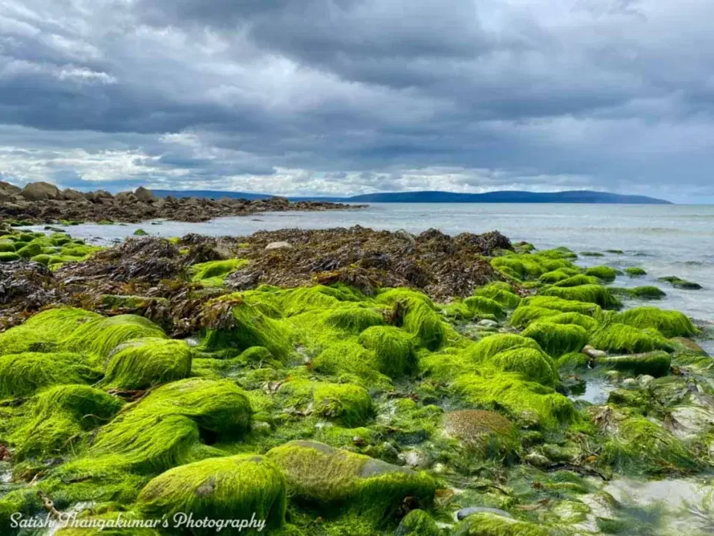 Silver Strand Beach in Galway, Ireland travel image