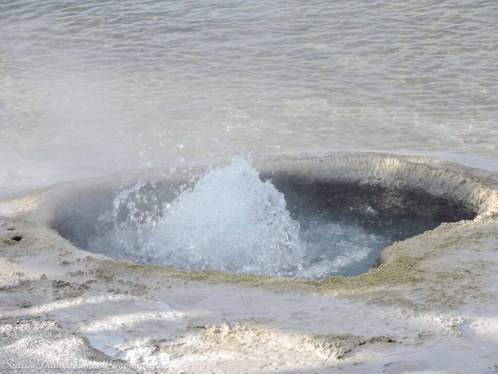 West Thumb Geyser basin, Yellowstone National Park