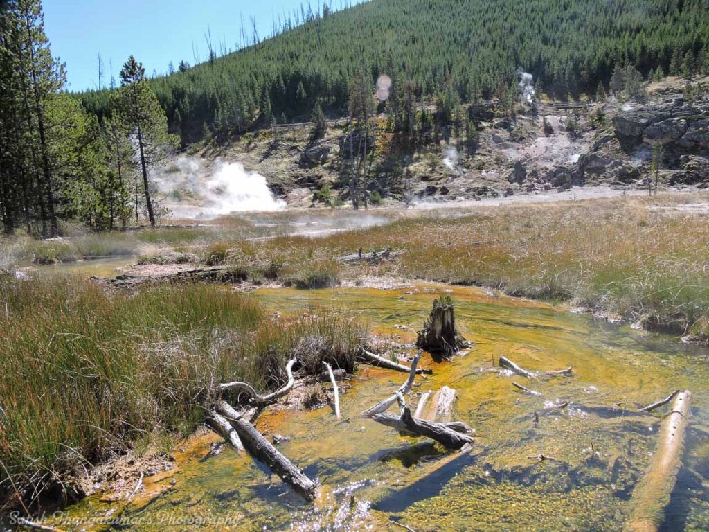 Nature’s canvas at work — welcome to Artist Paint Pots, where colors bubble from the Earth.