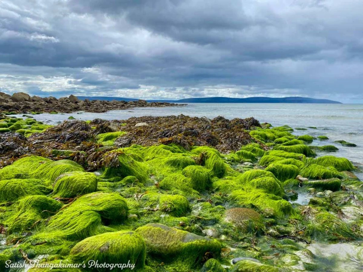 A scenic view of Galway near Silver Strand Beach