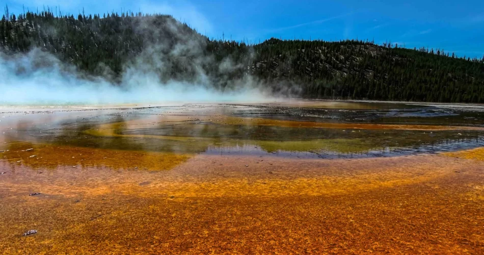 Ground-level view of the Grand Prismatic Spring in Yellowstone National Park, showcasing vibrant colors and geothermal steam.